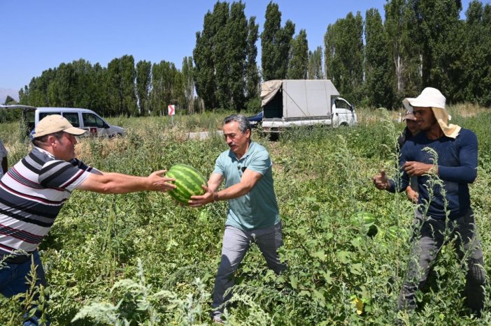bagra-karpuzunda-hasat-basladi-1.jpg
