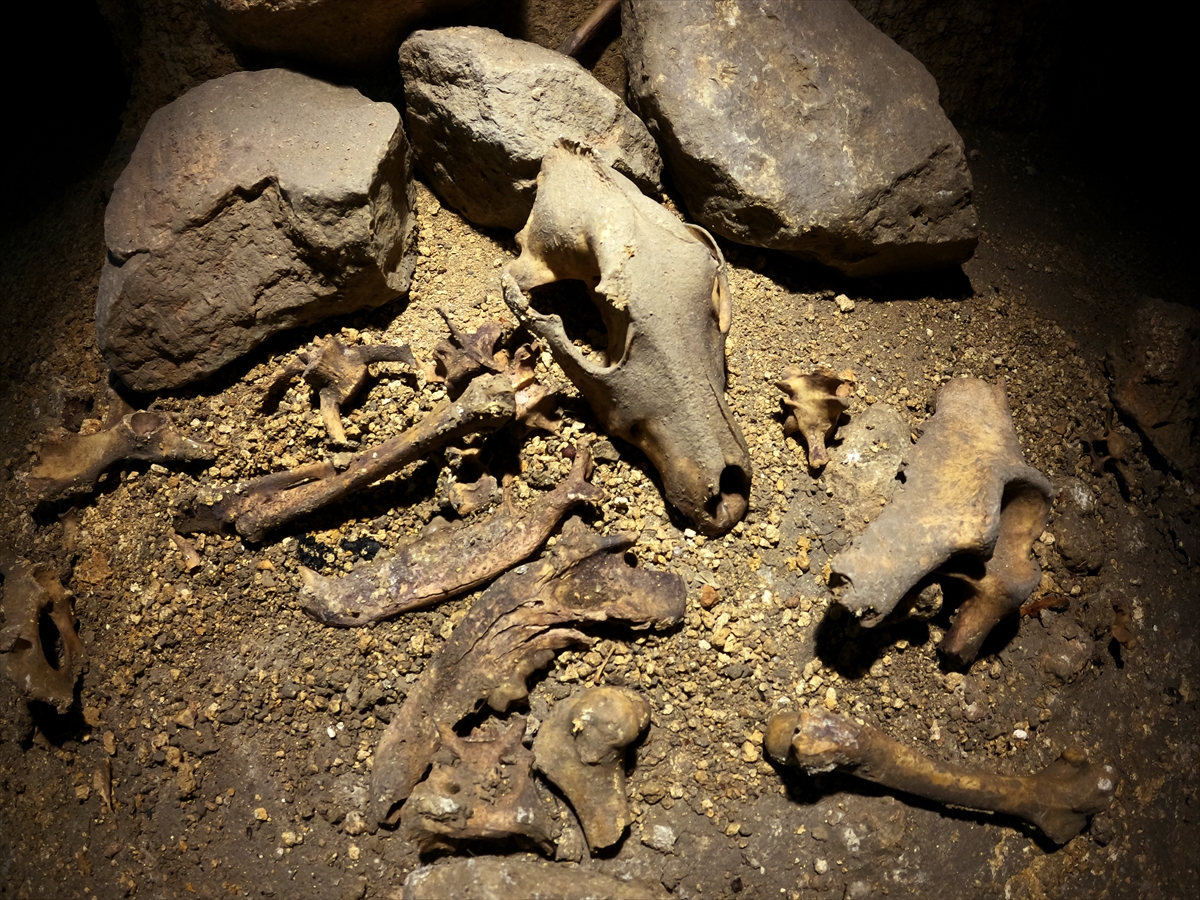 antik-sarayini-yer-alti-sehrinin-kesfedilen-alani-20-bin-metrekareye-ulasti.jpg
