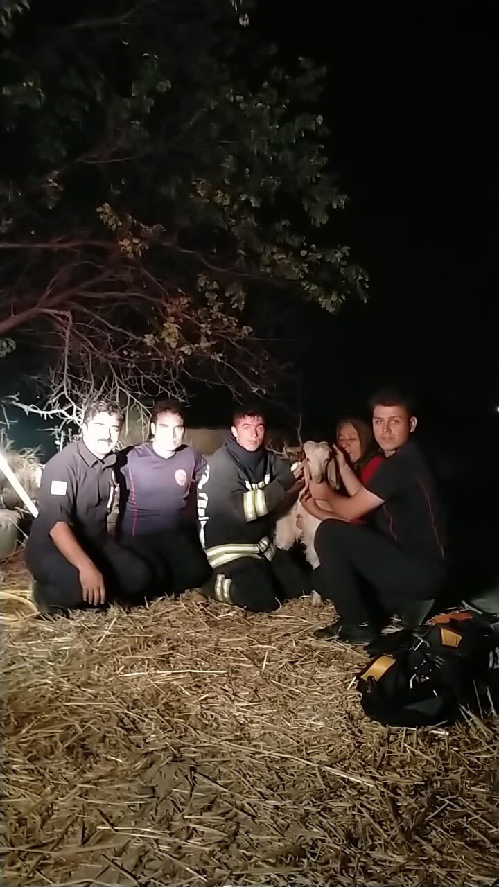 Konya’da derin kuyuya düşen keçiyi itfaiye kurtardı