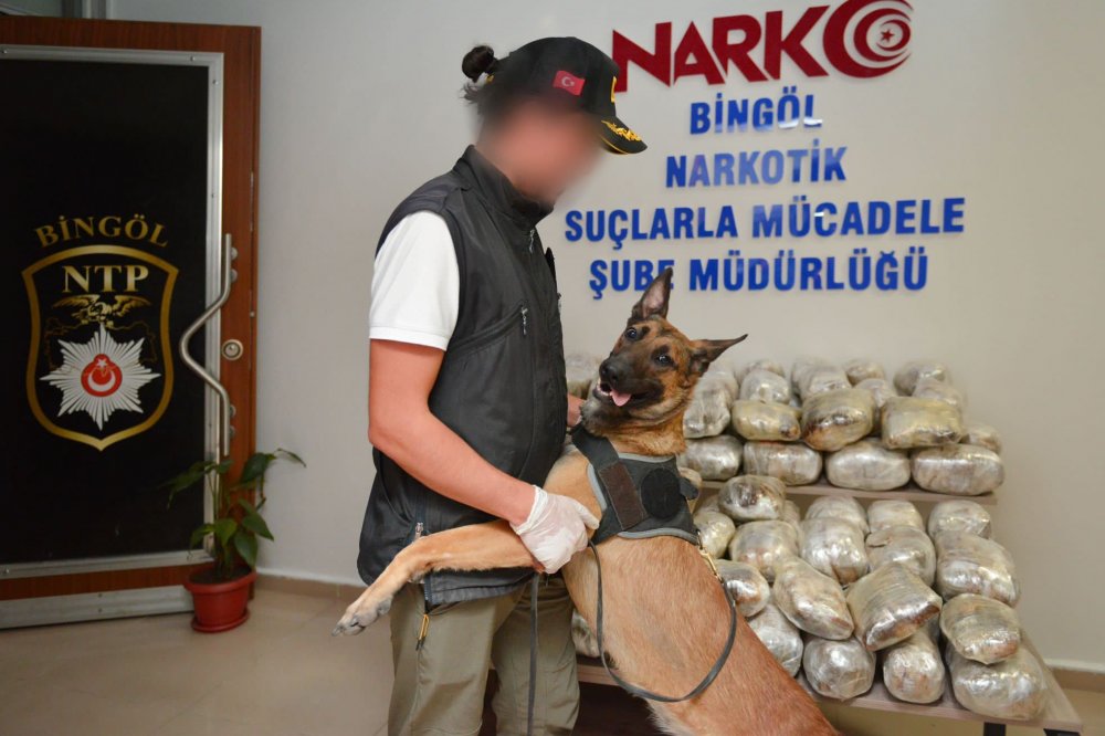 Bakan Yerlikaya: Bingöl ve Osmaniye'de 5 zehir taciri tutuklandı