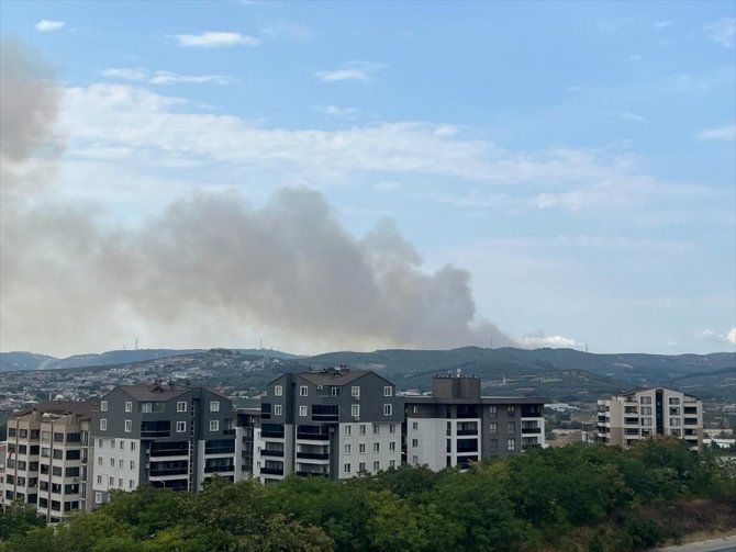Bir orman yangını daha!