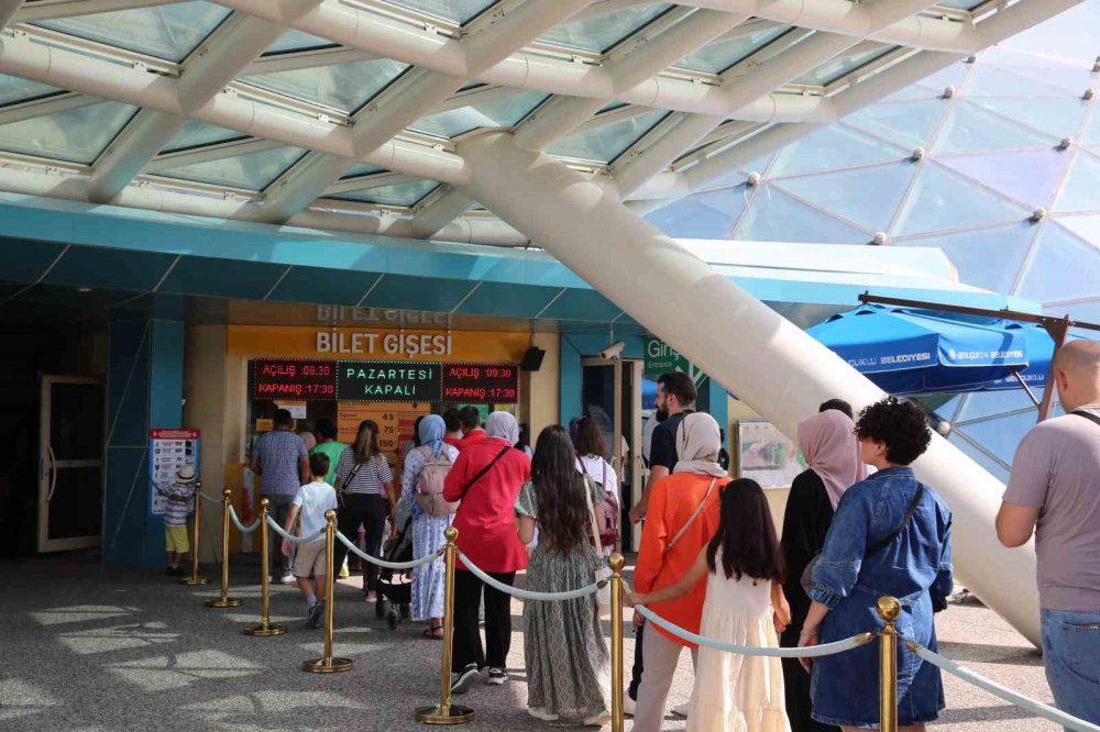 Konya Tropikal Kelebek Bahçesi'nden yeni rekor