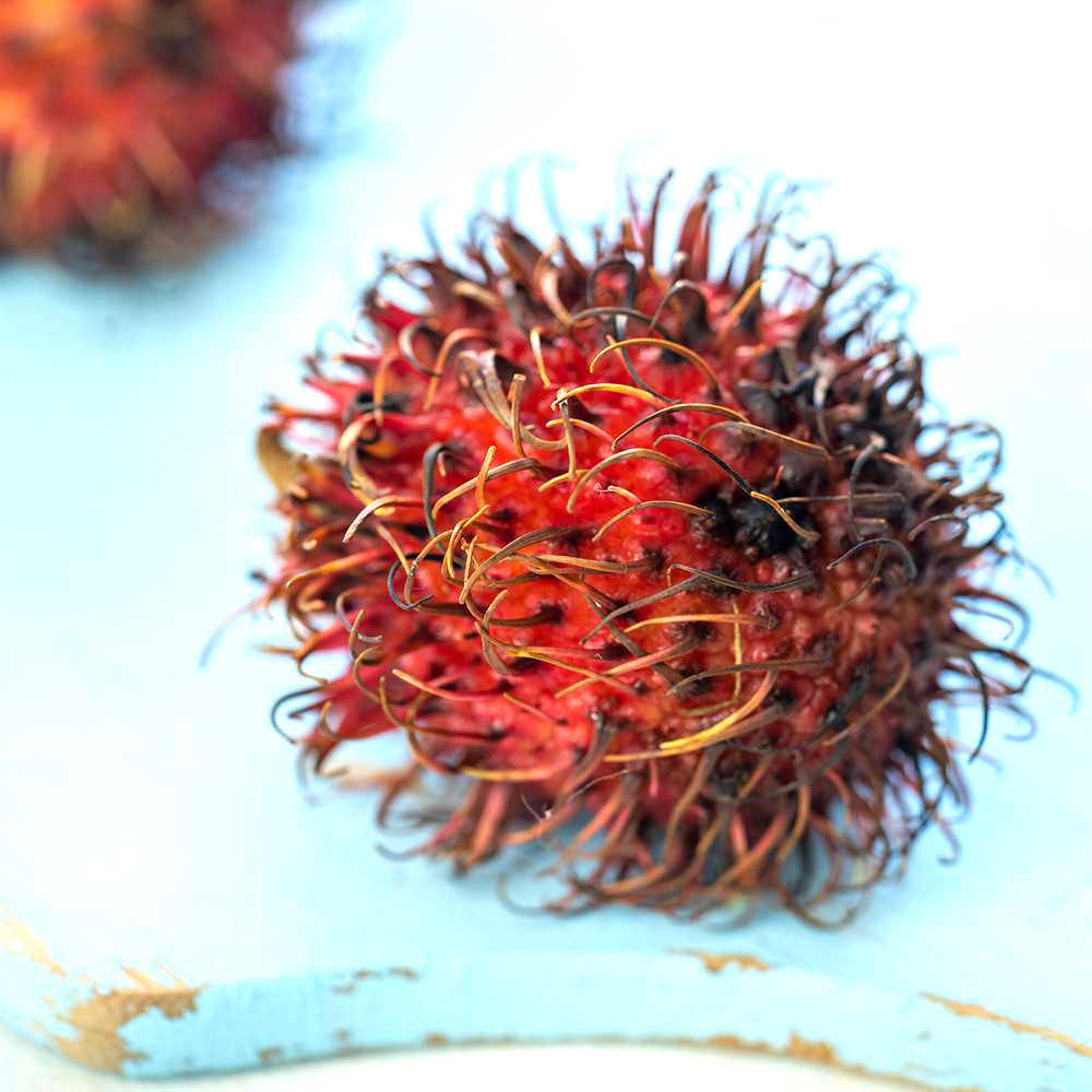 rambutan-paket-02-e6a.jpg