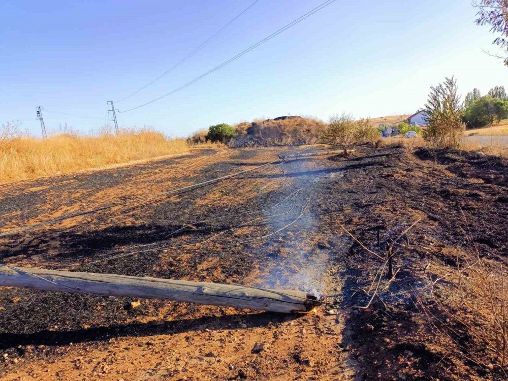 Konya'nın iki ilçesinde çıkan anız yangınları tedirgin ediyor