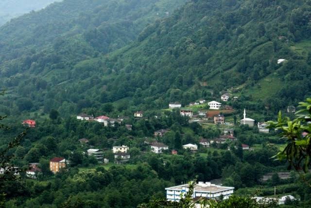 3 köye kuduz karantinasında!