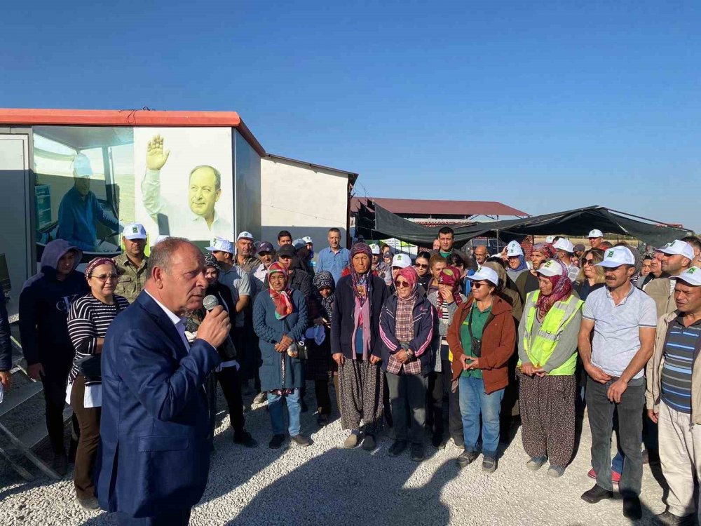 Konya'nın ilçesinde ücretsiz salçalık biber dağıtılıyor