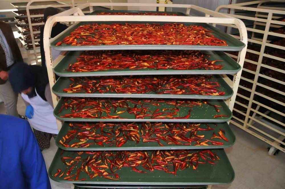 Konya'da kadınlar işe el attı, tesiste ürün çeşitliliği arttı