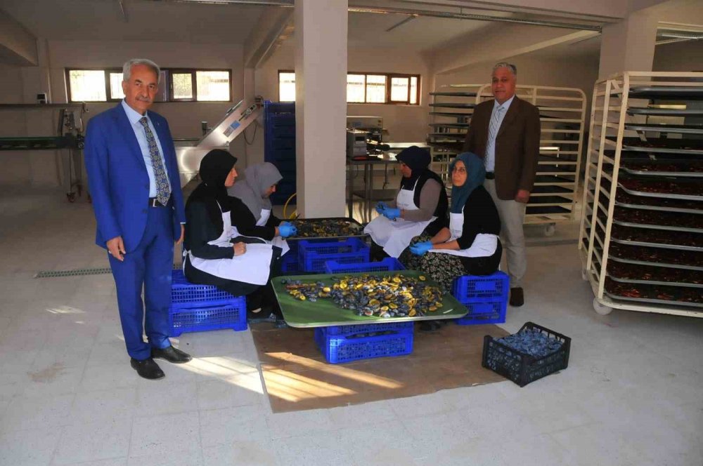 Konya'da kadınlar işe el attı, tesiste ürün çeşitliliği arttı