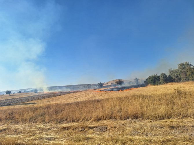 Konya'da anız yangını ormana sıçradı