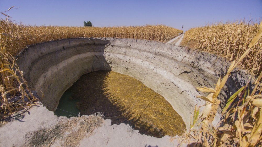 Türkiye'nin tahıl ambarı Konya Ovası'nda şok kaçak su kuyusu gerçeği