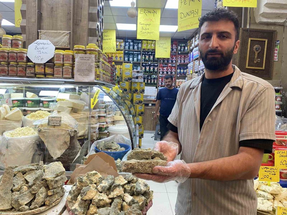 Konya'nın meşhur küflü peyniri bakın neye iyi geliyormuş!