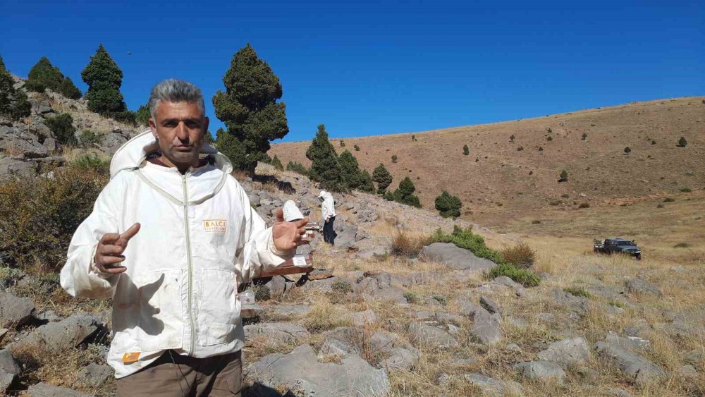 Konya'da 2 bin 500 metre rakımda bal hasadı