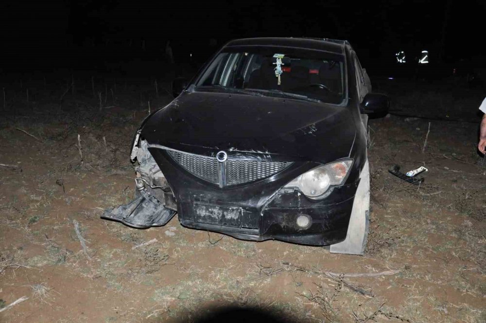 Otomobil domuz sürüsüne çarptı, 1'i ağır 2 kişi yaralandı