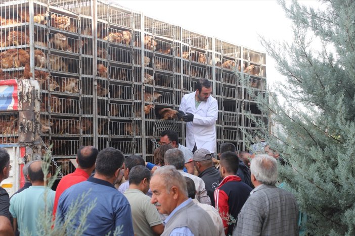 aa-20231003-32299308-32299307-cihanbeyli-belediyesi-ilcedeki-800-aileye-kumes-hayvani-dagitti.jpg