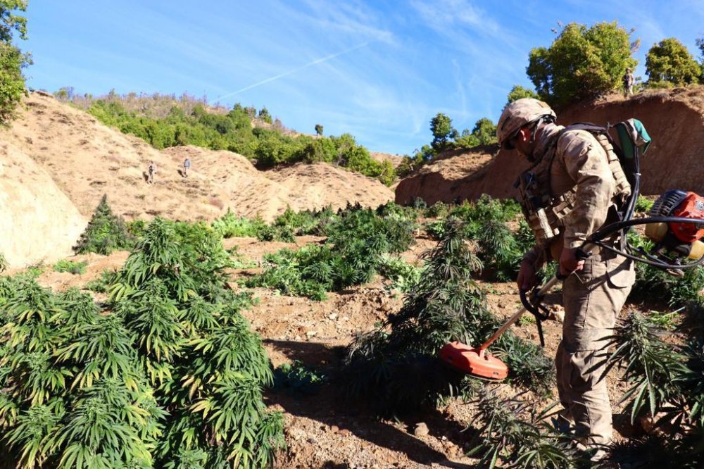 Terör örgütünün finans kaynağına Diyarbakır'da darbe