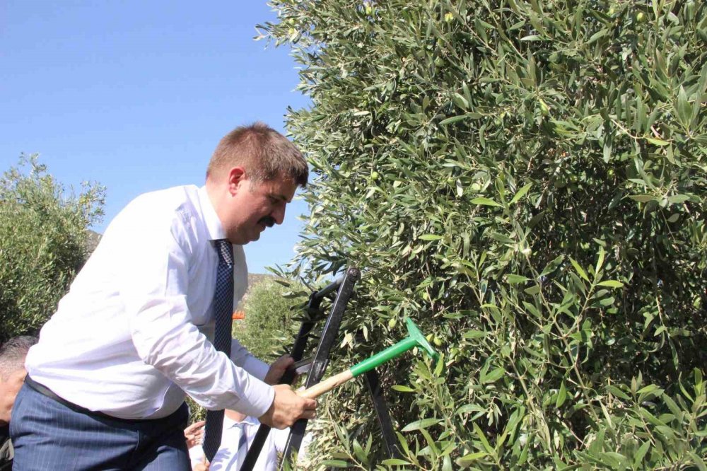 Herkes egede sanıyordu ama Türkiye'nin en kalitelisi Karaman'da üretiliyor!