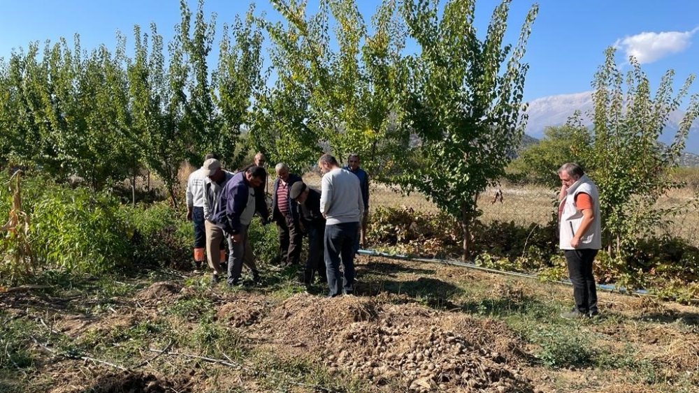 Konya Beyşehir’de çiftçilere tarla faresiyle mücadele eğitimi