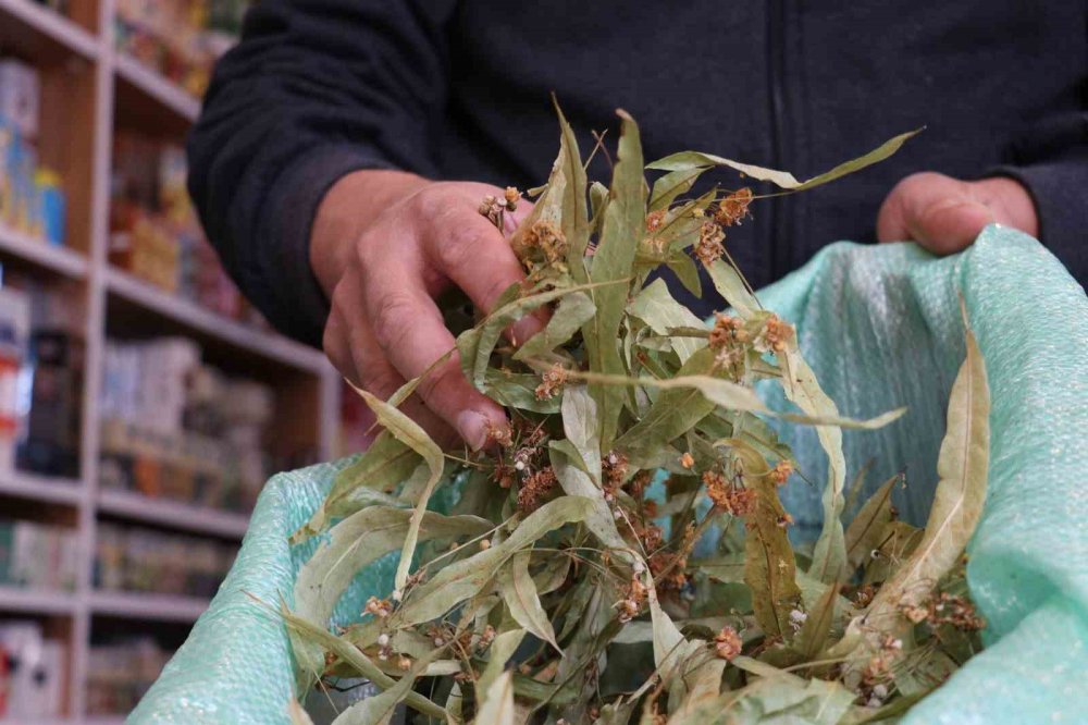 Öksürüğe, gribe 20 liraya çözüm!