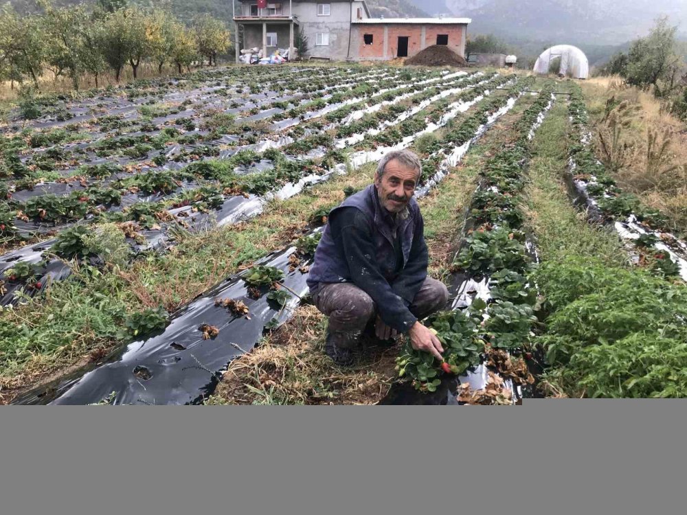 Konya'da vahşi sulamaya son veriliyor!