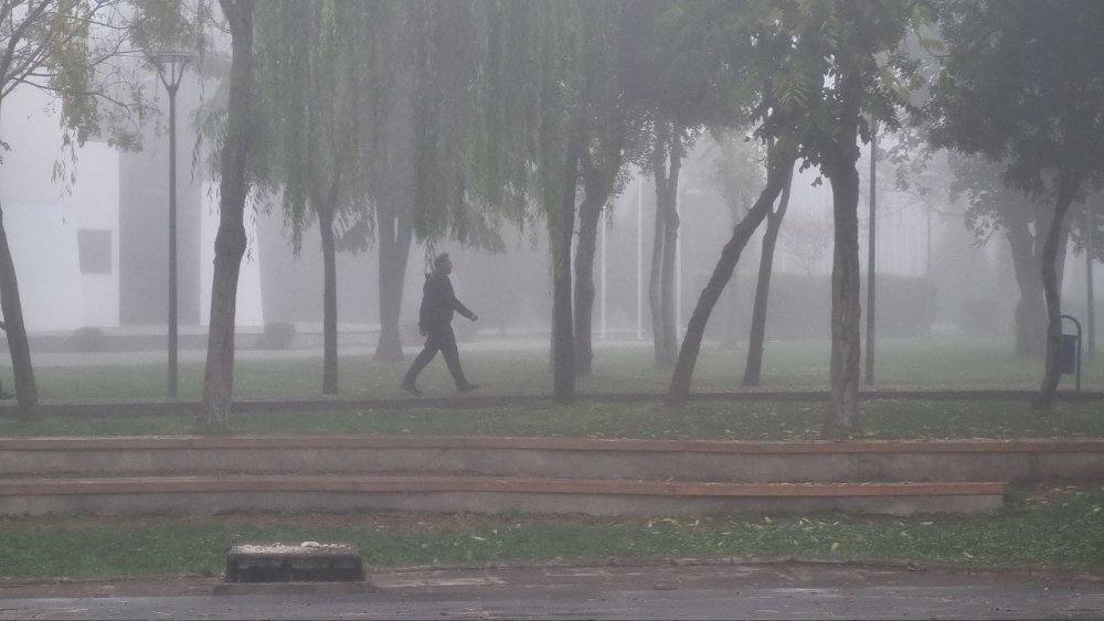 Diyarbakır'da sis etkili oldu