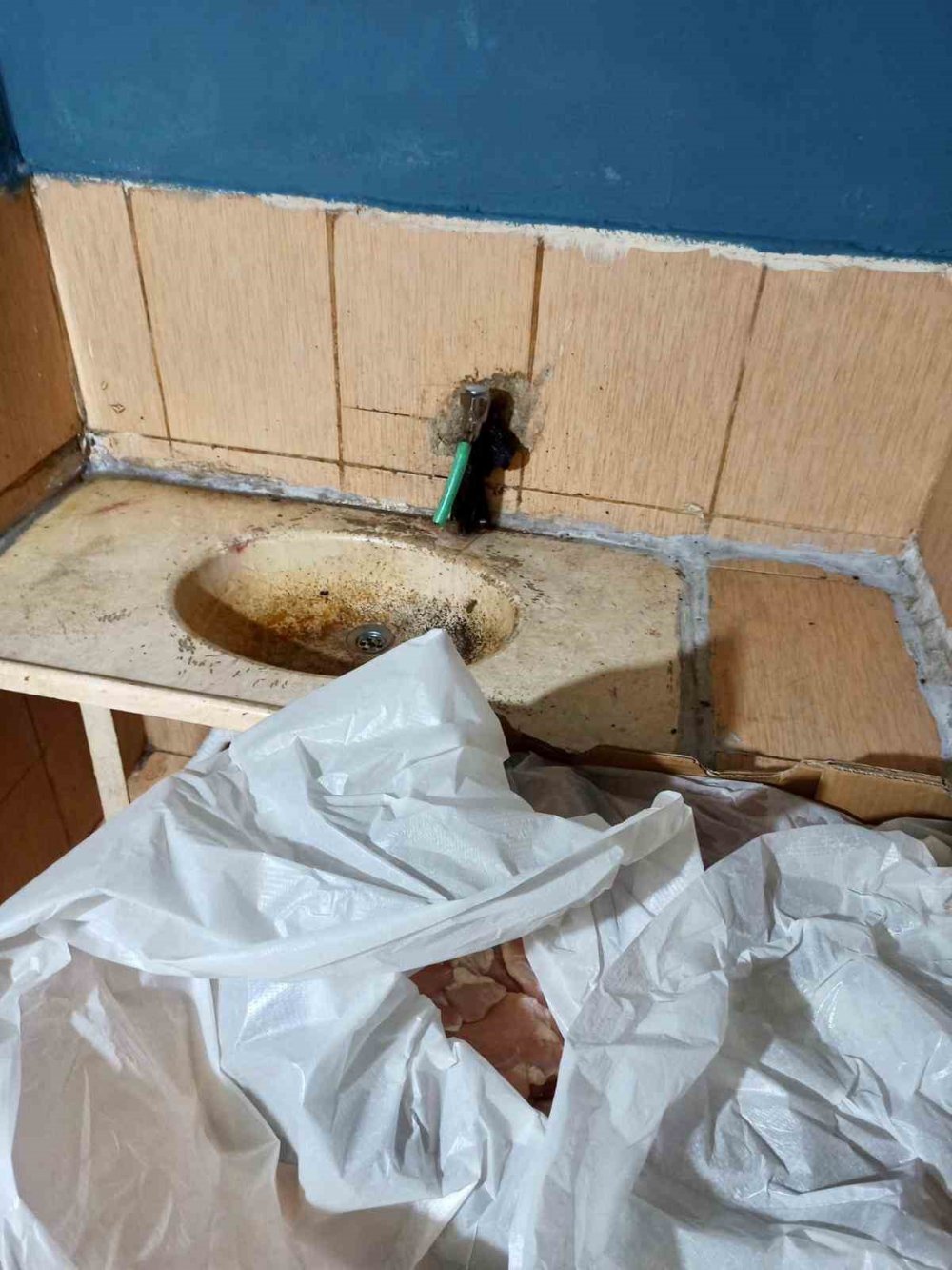 Hatay'daki bu lokantada mide bulandıran görüntüler!