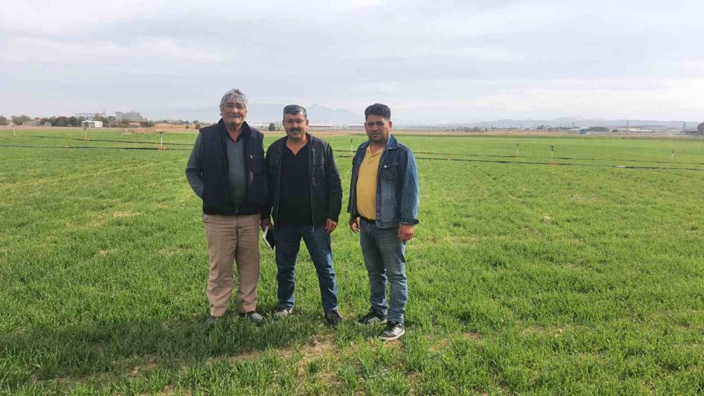 Konya Karapınar’da hasat mesaisi