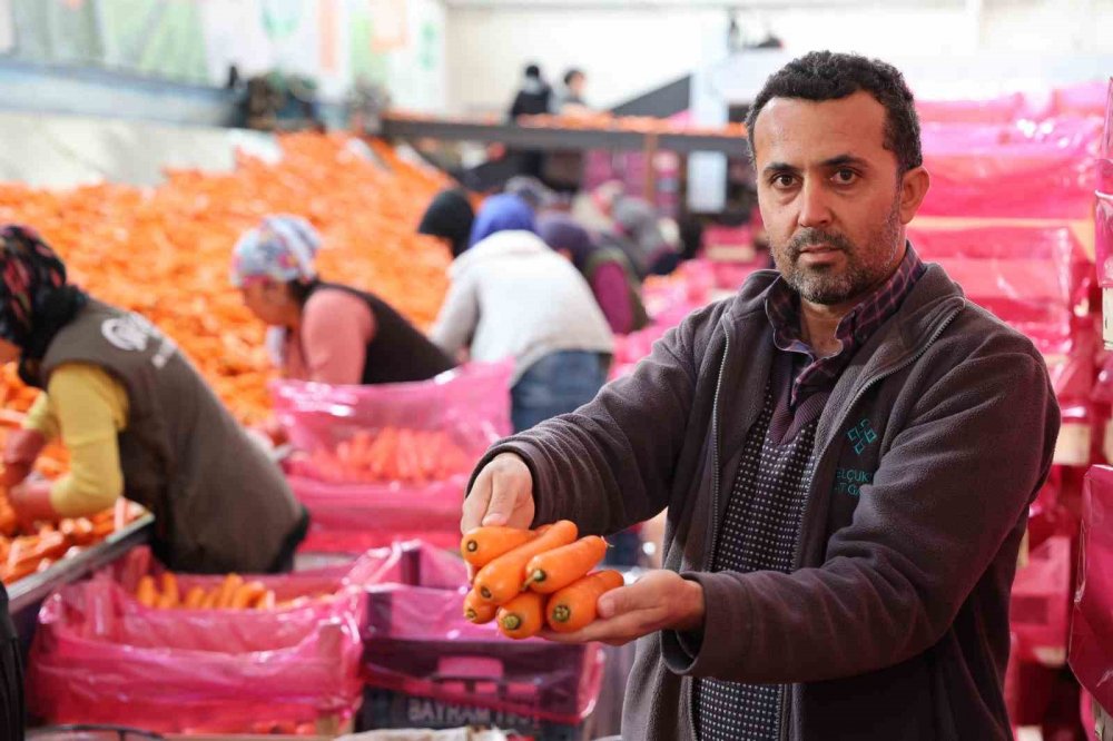 Tek tek sökümü yapılıyor! Türkiye'nin ihtiyacının yüzde 65'ini Konya karşılıyor