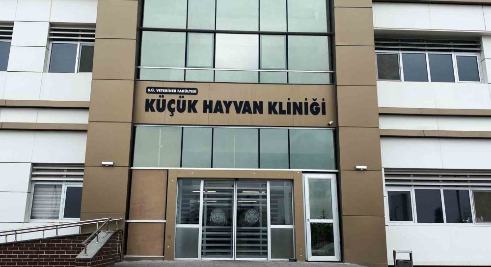 Türkiye’nin en büyük hayvan hastanesi Konya'da