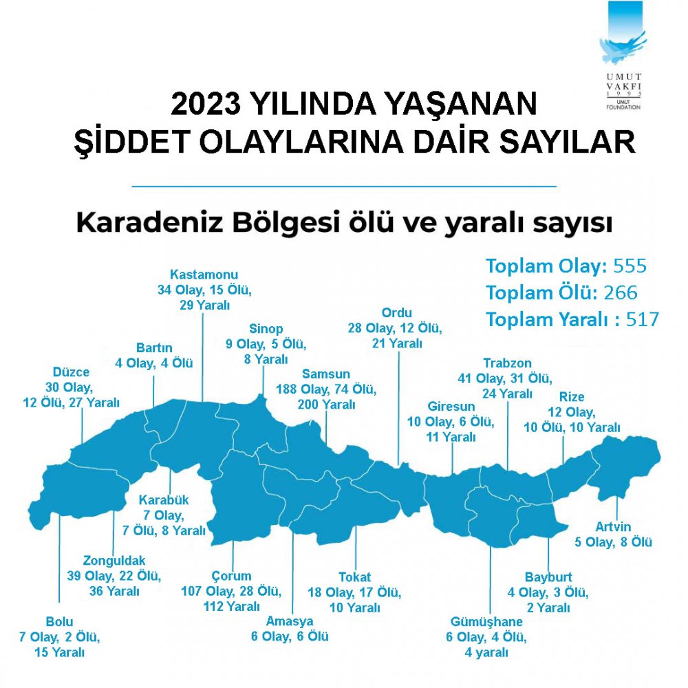 Türkiye’nin silahlı şiddet haritası açıklandı! İşte Konya'nın bilançosu