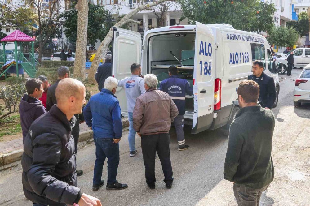 Antalya'da çocuk parkında ölü bulundu! Vatandaşların ceset merakı ‘pes’ dedirtti