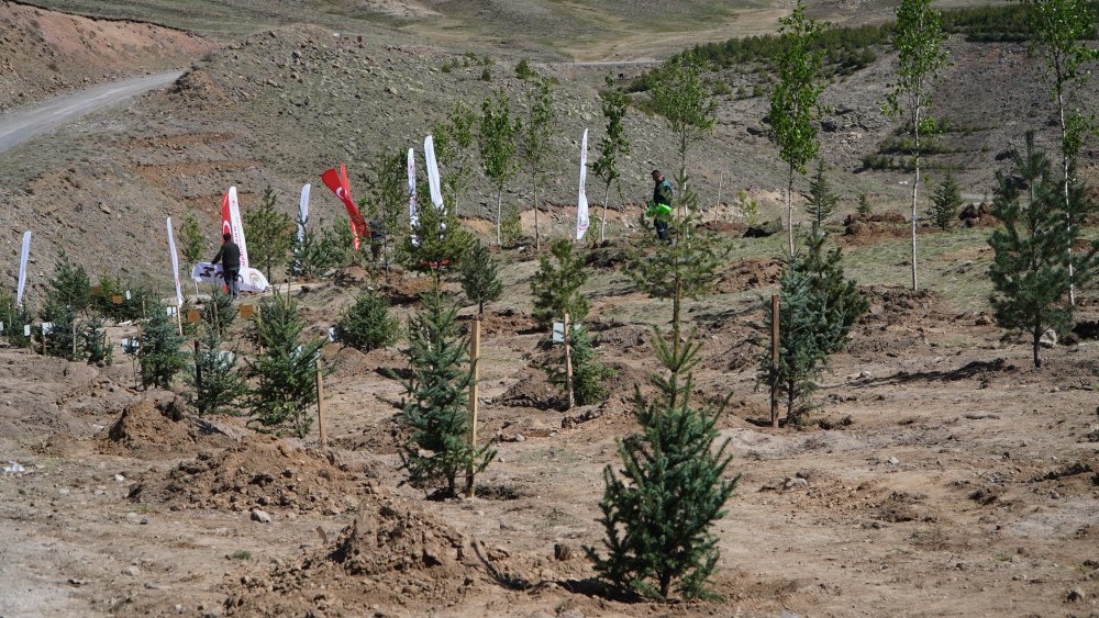 Bakan Özhaseki: Ağaçlarımızı yok ettik, ormanlarımızı kel hale getirdik