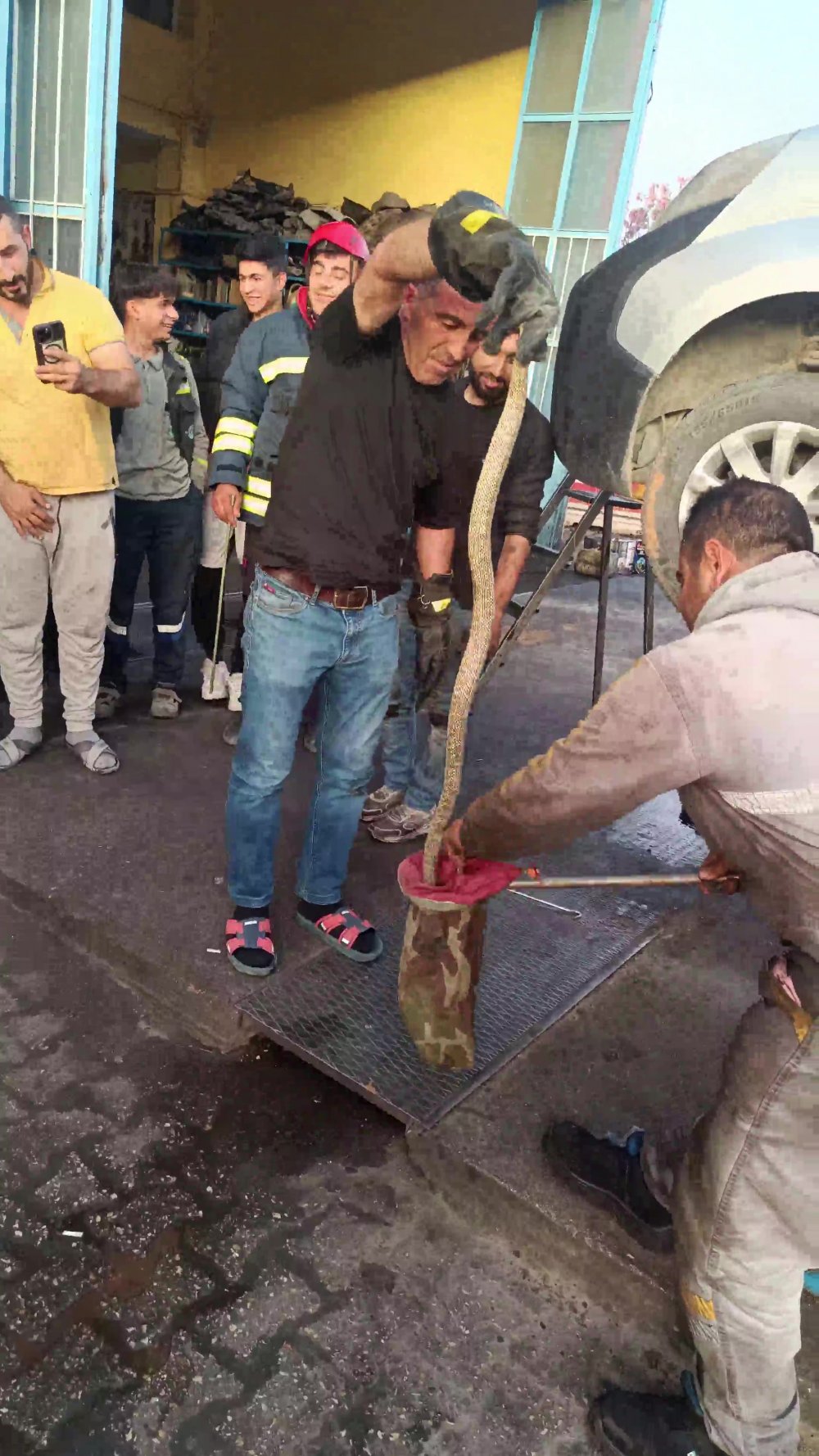 Konya'da tamir için bırakılan araçtan yılan çıktı
