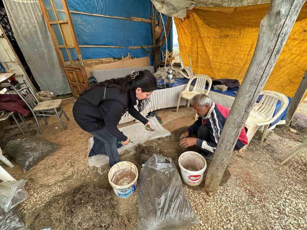 Konya'da çilek üreticilerine teknik destek