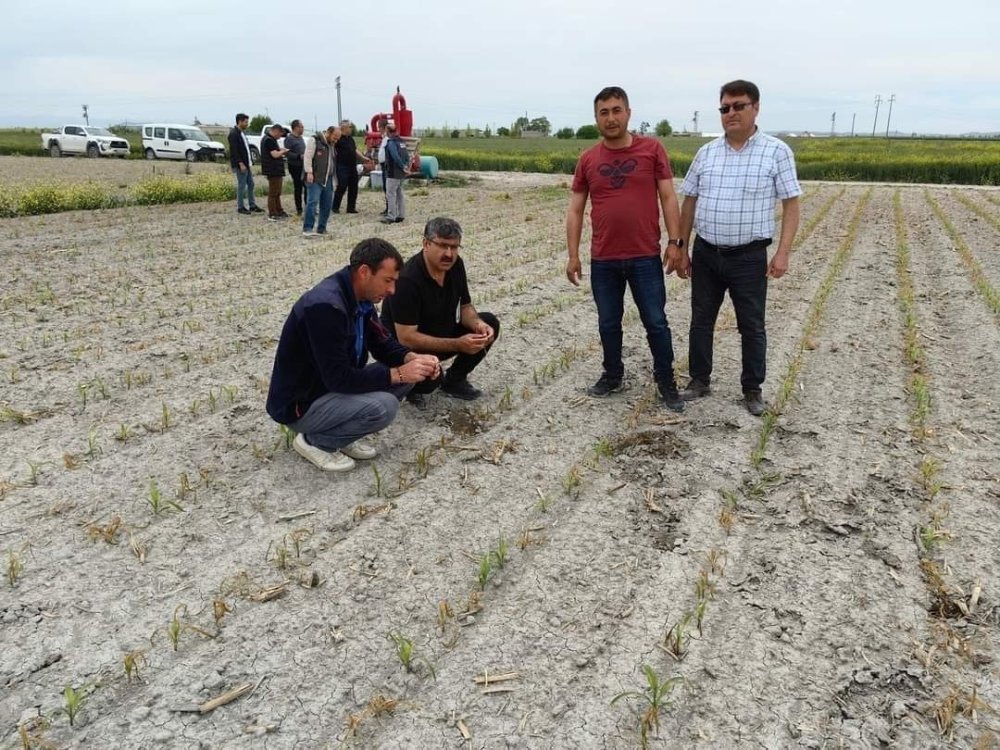 Konya'daki çiftçilere hayati uyarı!