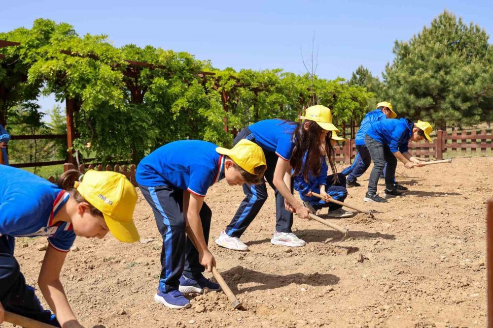 MEGA, 10 bin öğrenciye trafik bilinci kazandırdı