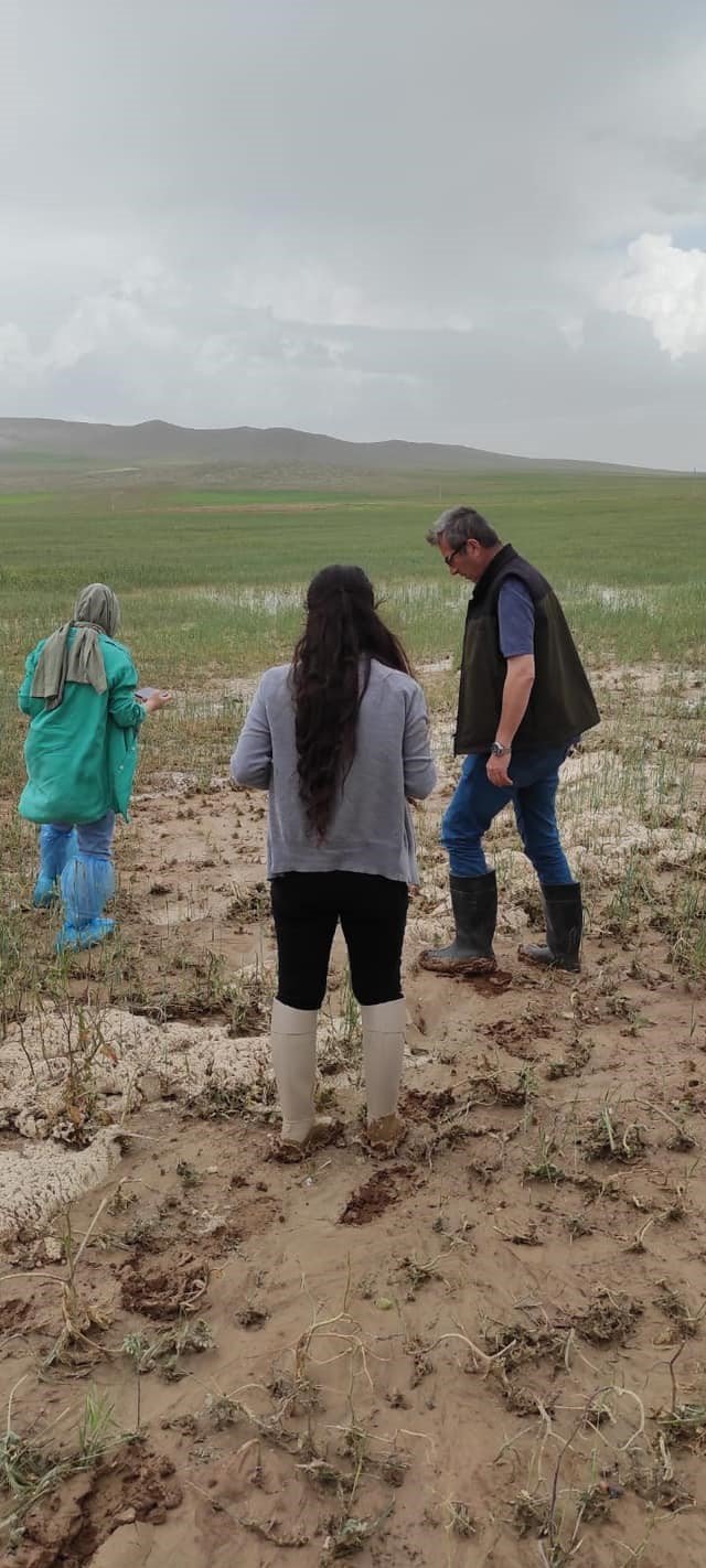 Konya'nın iki ilçesinde fındık büyüklüğünde dolu yağdı