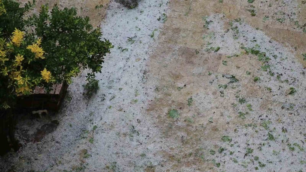 Dolu yağışı meyve ağaçları ve ekili arazilere zarar verdi