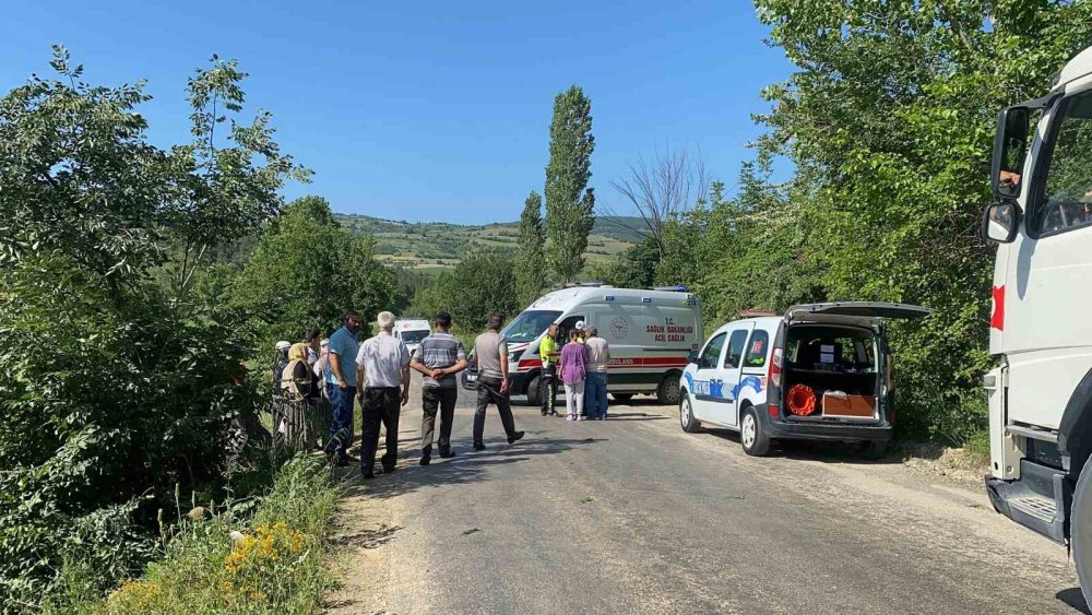 Direksiyon hakimiyetini kaybetti: Üzüm bağına devrildi