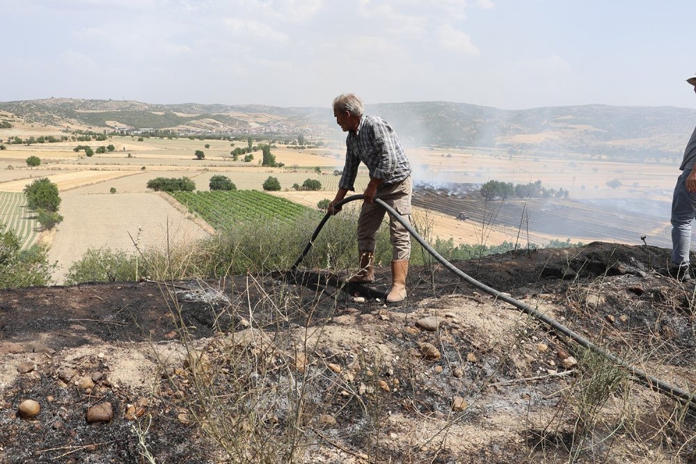 100 dönüm arazi küle döndü