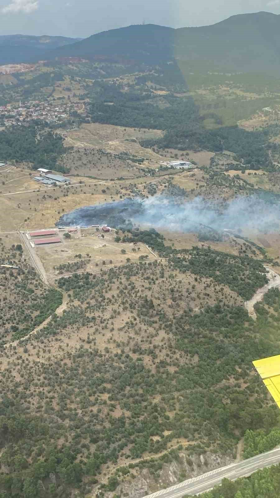 Balıkesir’de orman yangını