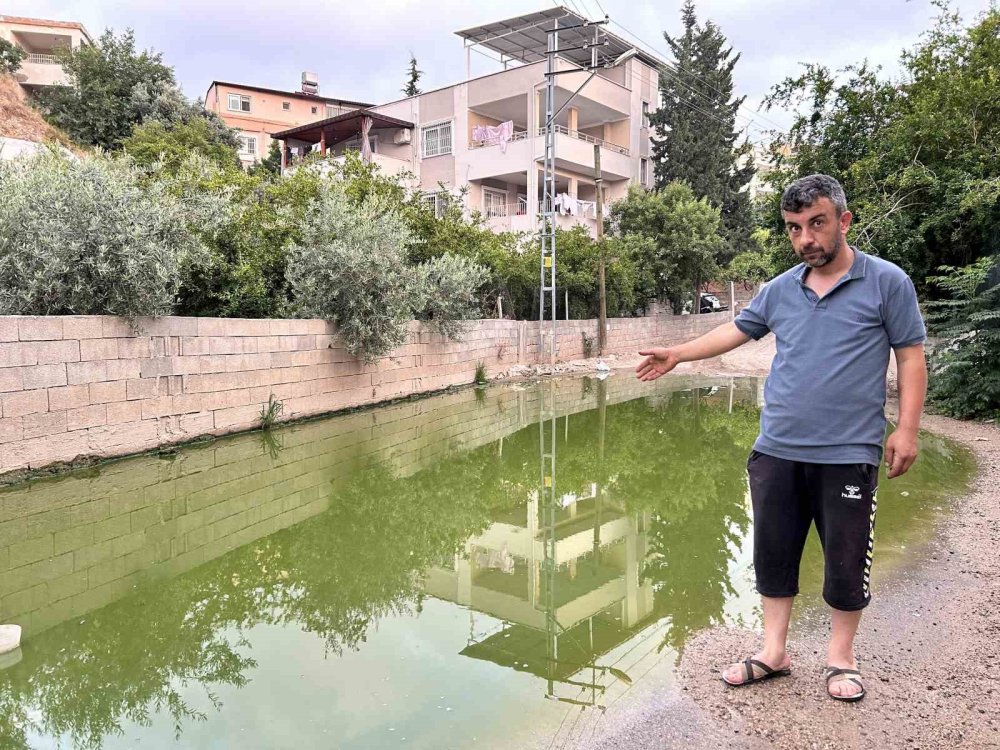 Vatandaşlarda merak uyandırdı! Yeşil renge büründü