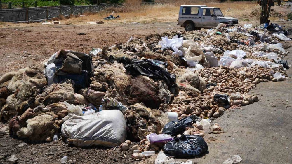 Gaziantep’te mide bulandıran görüntüler