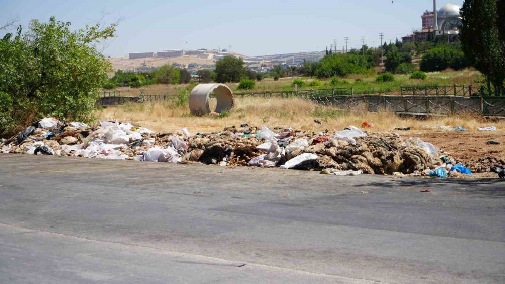 Gaziantep’te mide bulandıran görüntüler