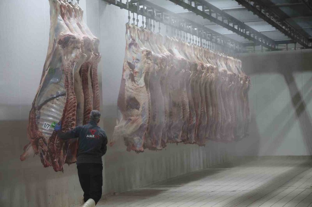 Konya'da kurbanlıkların kesimine başlandı! İhtiyaç sahiplerine ulaşacak