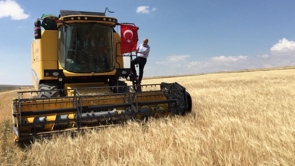 Konya'nın ilçesinde hasat başladı