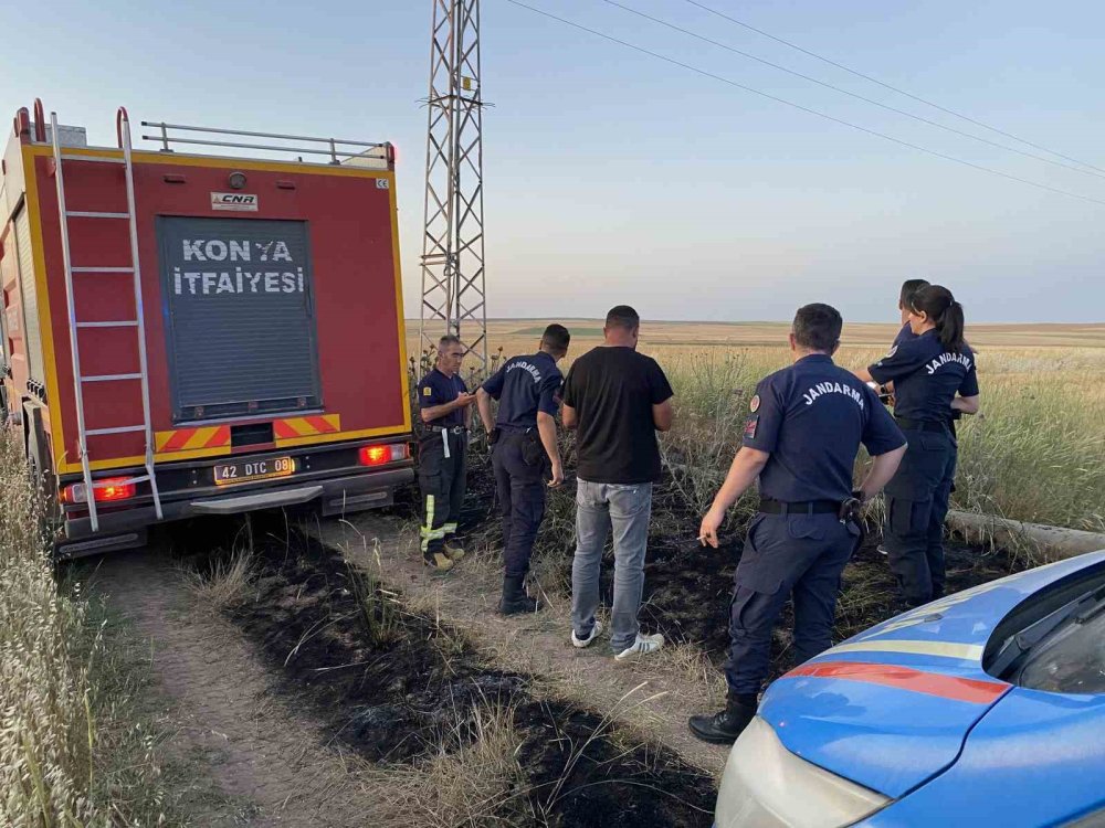 Konya'da elektrik akımına kapılan kuşlar yangına neden oldu