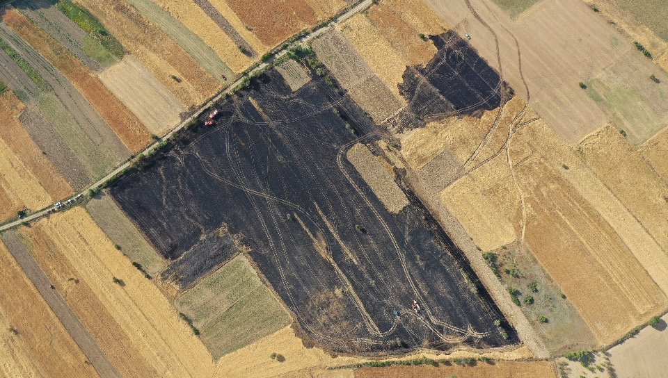 Kütahya’da buğday ekili 7 hektar tarla yandı