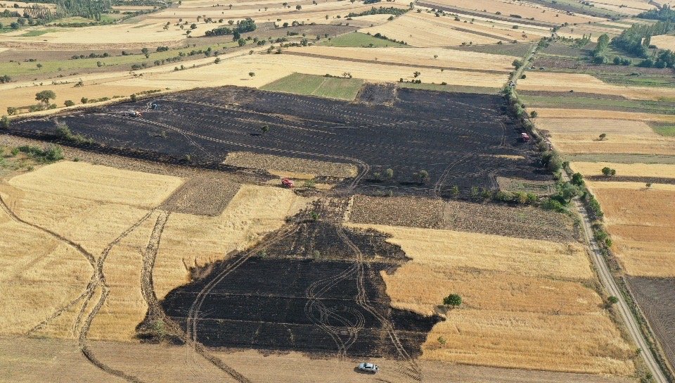 Kütahya’da buğday ekili 7 hektar tarla yandı