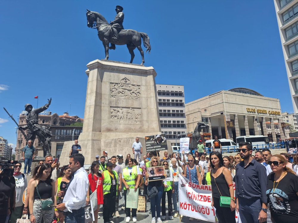 Hayvanseverlerden 'yasal düzenleme' tepkisi