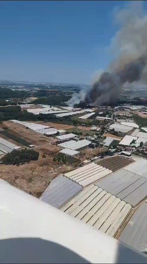 Antalya'da orman yangını
